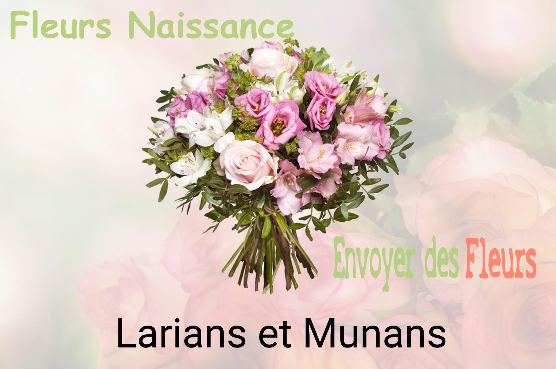 Bouquet de fleurs de naissance livré à Larians-et-Munans